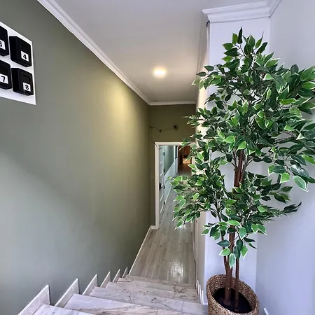 Better Choice Konukevi Lisboa